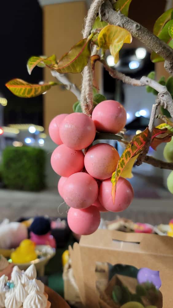 Oatmeal and Aloe Vera Grape Soap